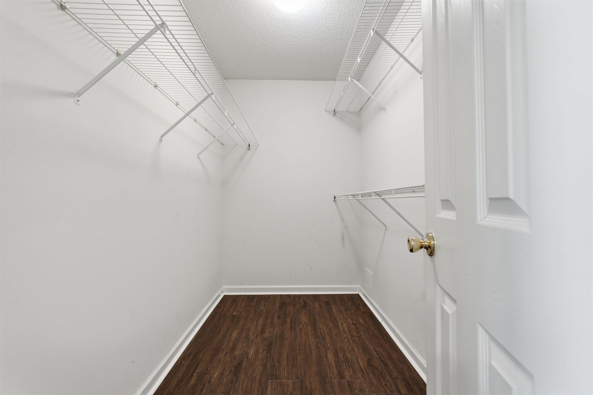 2618 Ringneck Trail  Photo 24
