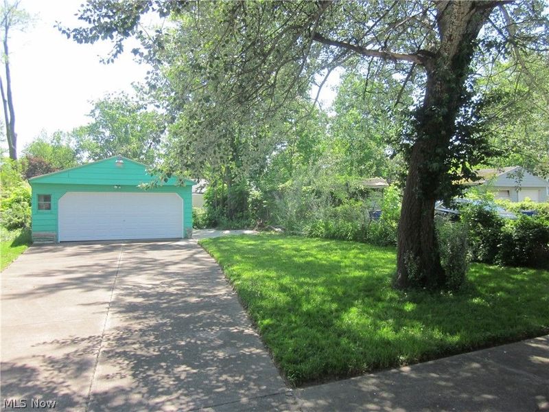 12503 Lena Avenue, Cleveland, OH 44135 Photo 4