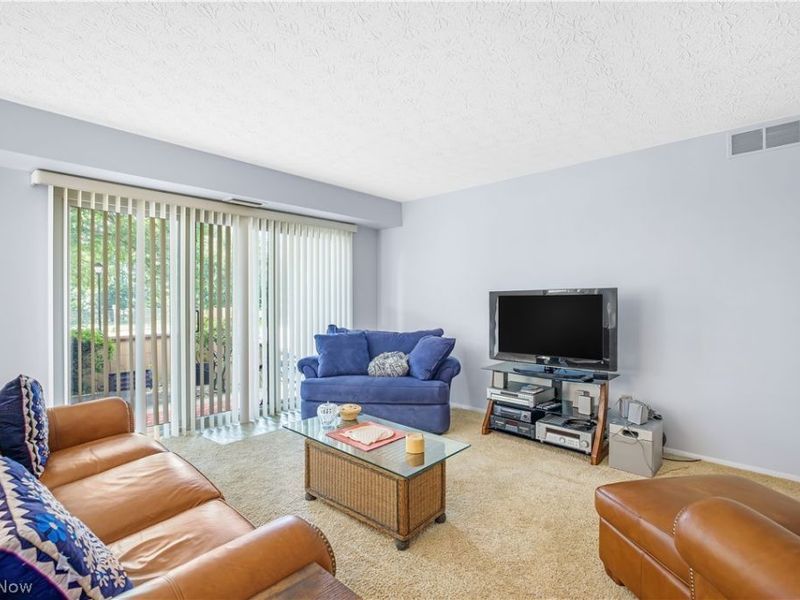 186 Court Drive , Unit 105, Fairlawn, OH 44333 Photo 19