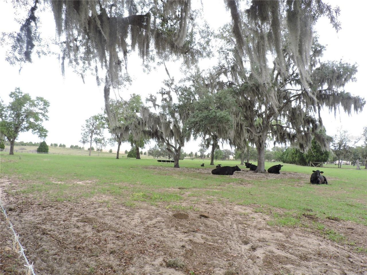 5757 Trask Road, Fort Meade, FL 33841 Photo