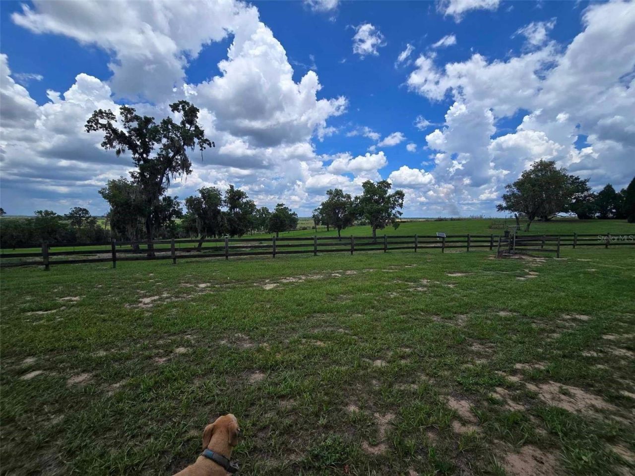 5757 Trask Road, Fort Meade, FL 33841 Photo