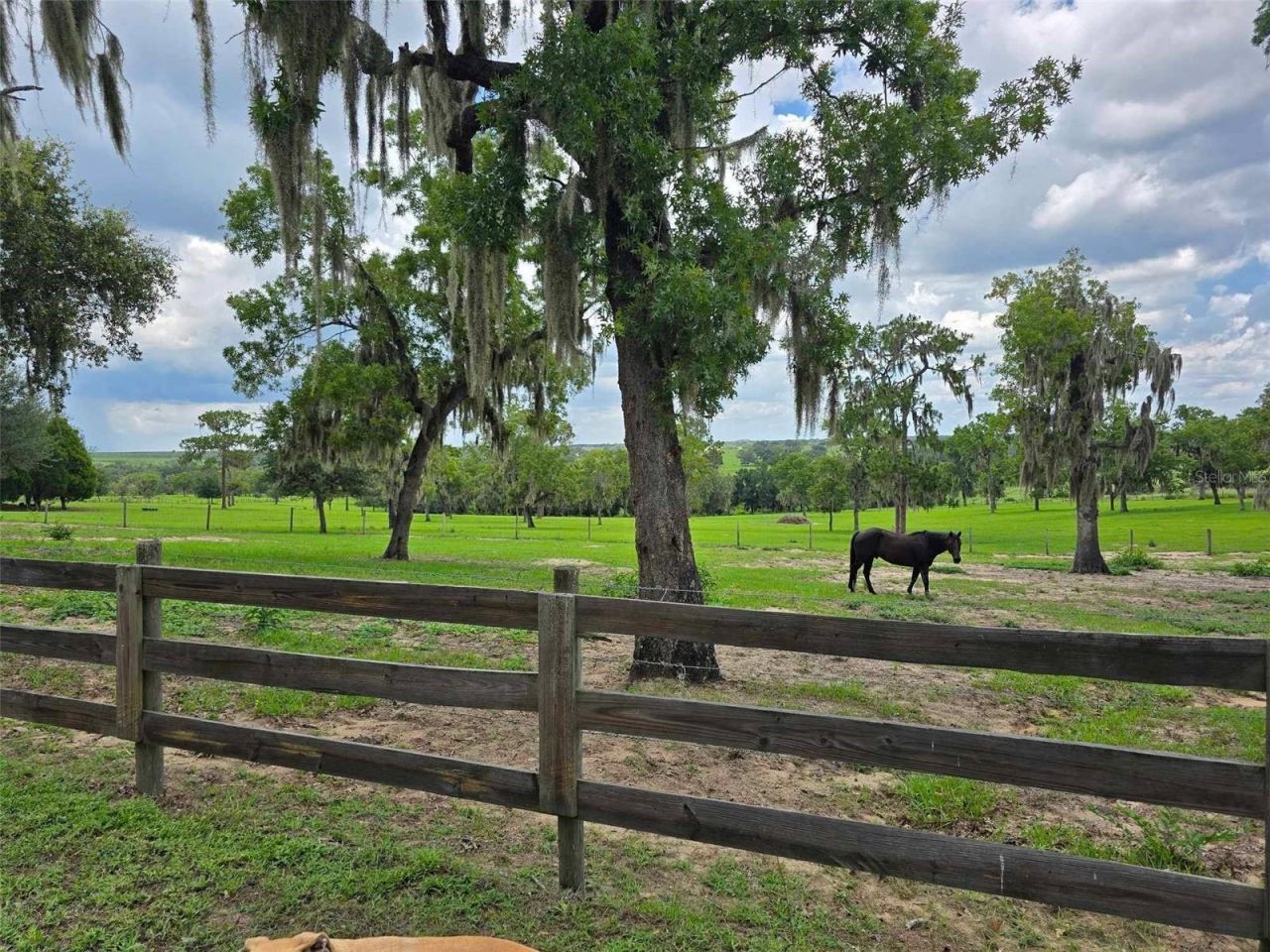 5757 Trask Road, Fort Meade, FL 33841 Photo