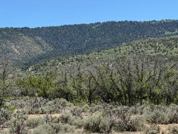Unit 9, Spring City, UT 84662