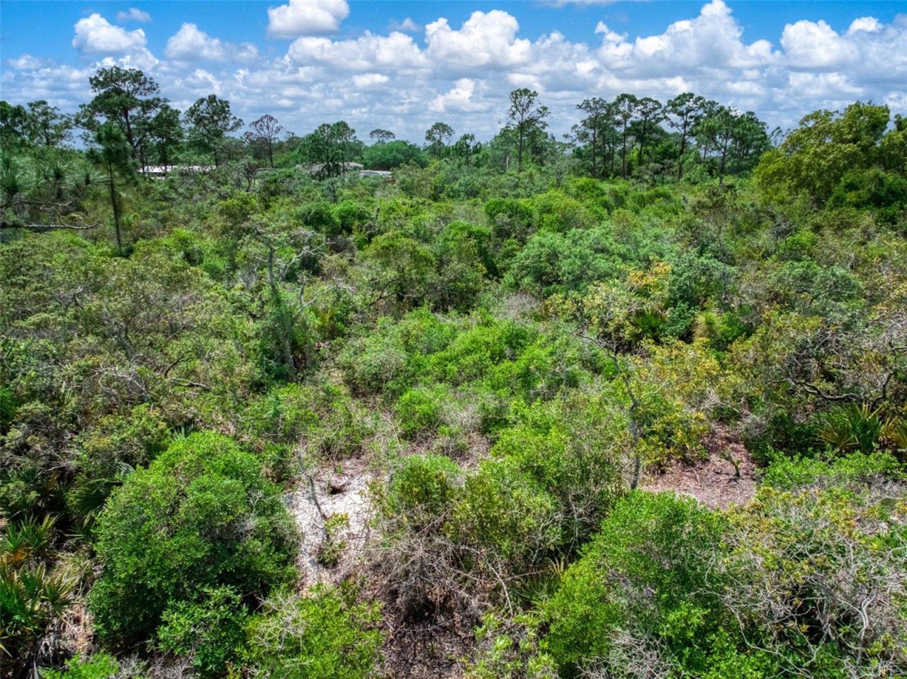 125 Polk Street , Lake Placid, FL 33852 Photo