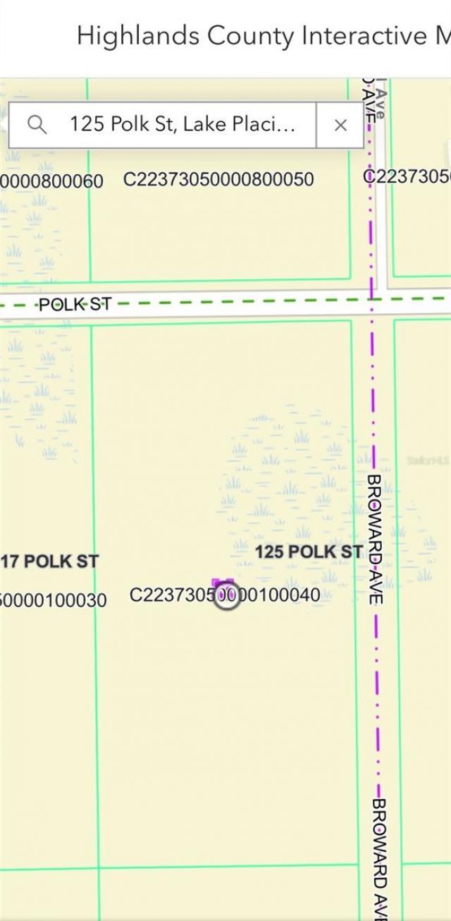125 Polk Street , Lake Placid, FL 33852 Photo