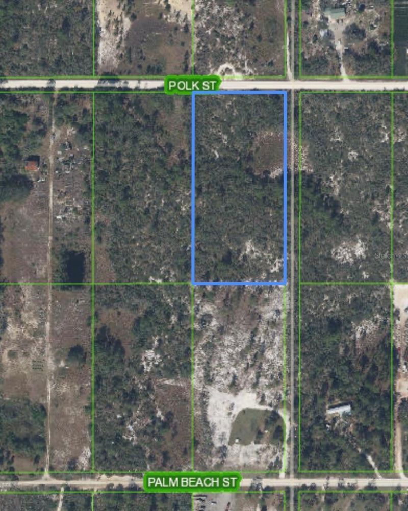 125 Polk Street , Lake Placid, FL 33852 Photo