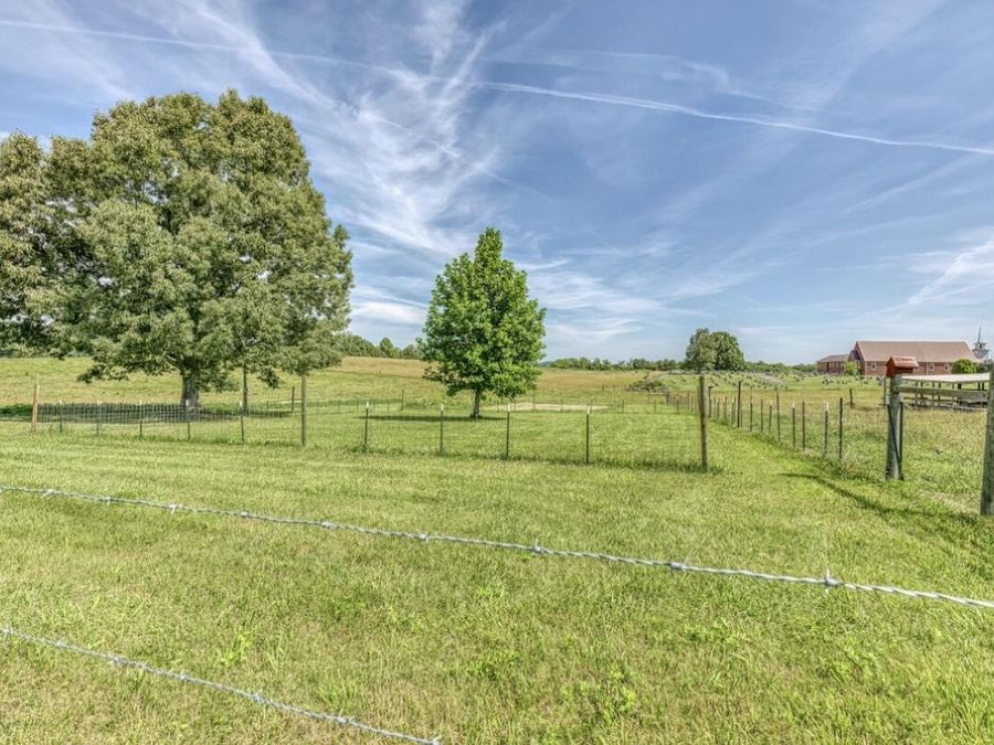 Property Image 33