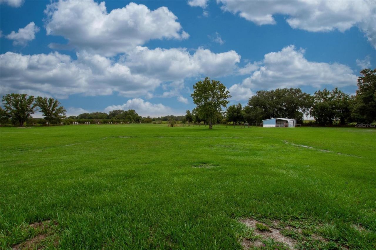 3442 NE Appaloosa Street , Arcadia, FL 34266 Photo