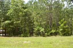 172 Colonels Circle  photo 4