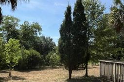 118 Autumn Lane photo 4
