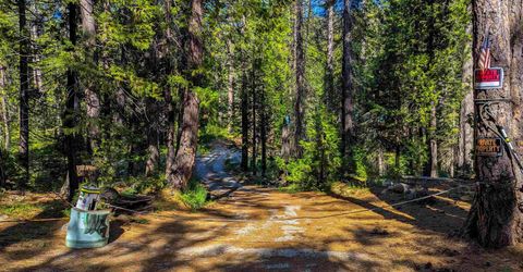 500 Lupine, Emigrant Gap, CA 95715 Photo