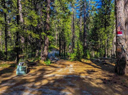 500 Lupine, Emigrant Gap, CA 95715 Photo
