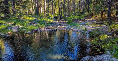 500 Lupine, Emigrant Gap, CA 95715 Photo