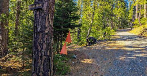 500 Lupine, Emigrant Gap, CA 95715 Photo