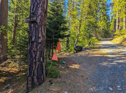 500 Lupine, Emigrant Gap, CA 95715 Photo