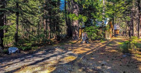 500 Lupine, Emigrant Gap, CA 95715 Photo