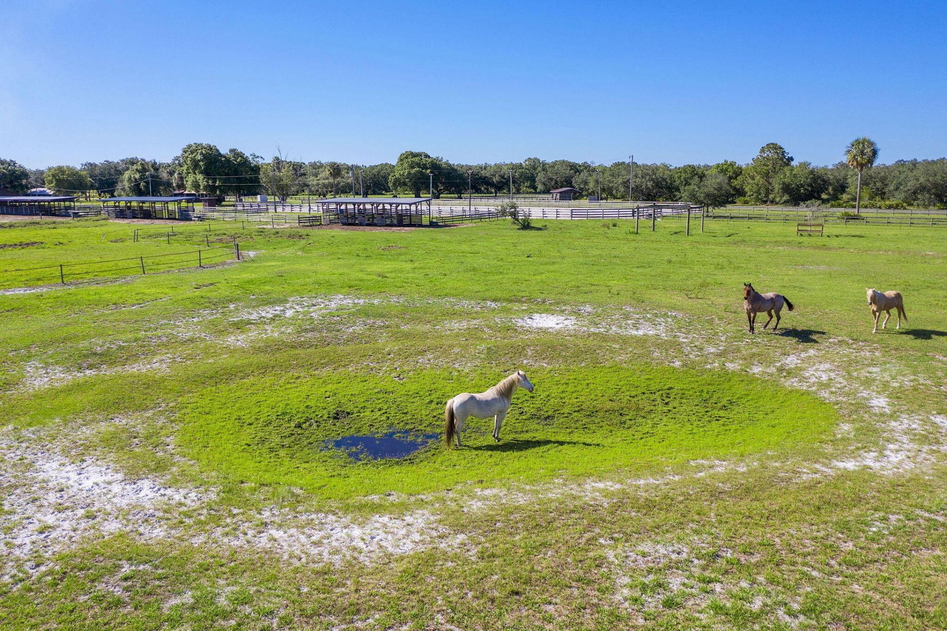 32801 N Us Highway 441 N, Unit 52, Okeechobee, FL 34972 Photo