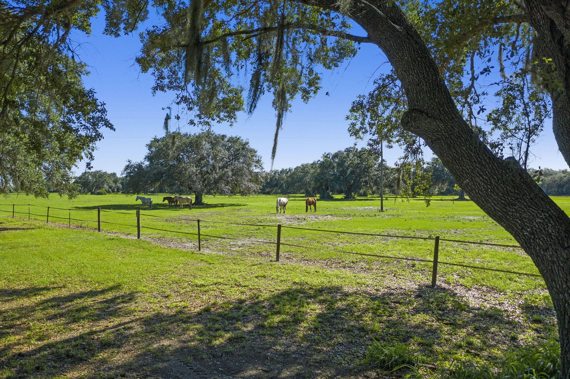 32801 N Us Highway 441 N, Unit 52, Okeechobee, FL 34972 Photo