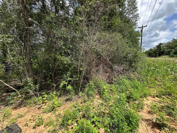 001 Green Valley DR, Bastrop, TX 78602