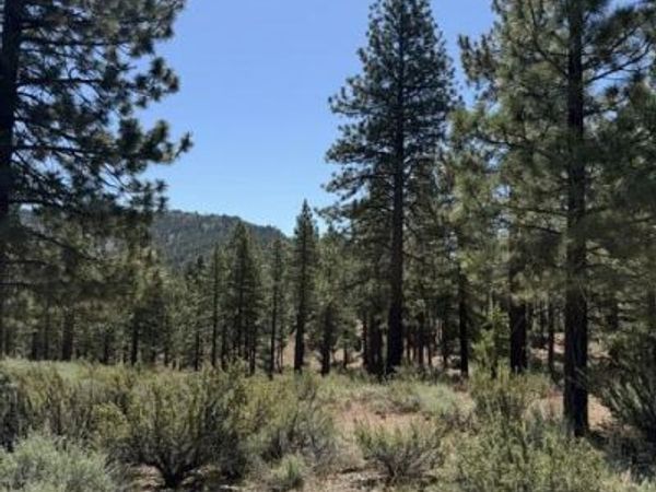 205 Haskell Mill Court, Carson City, NV 89705