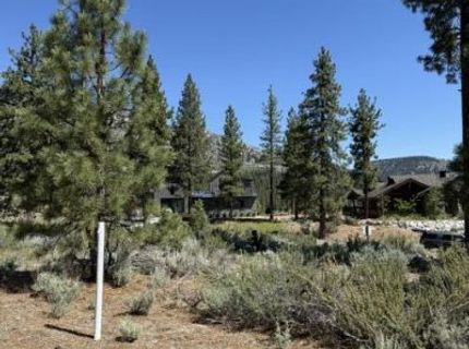 205 Haskell Mill Court, Carson City, NV 89705 Photo