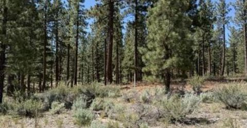 205 Haskell Mill Court, Carson City, NV 89705 Photo