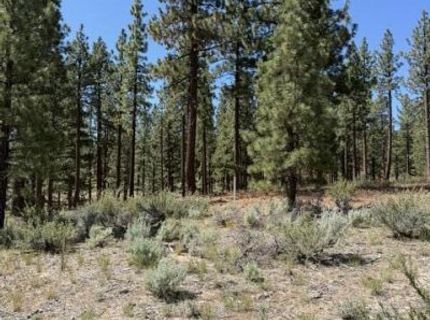 205 Haskell Mill Court, Carson City, NV 89705 Photo