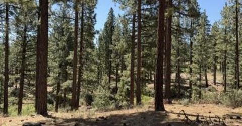 205 Haskell Mill Court, Carson City, NV 89705 Photo