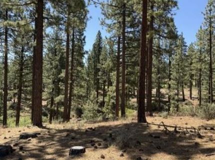 205 Haskell Mill Court, Carson City, NV 89705 Photo