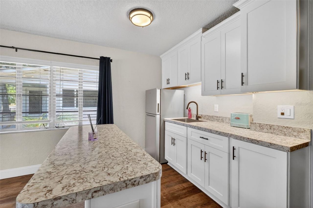 1012 S Baker Street , Mount Dora, FL 32757 Photo