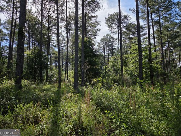 0 PERKINS ROAD Perkins Road, Barnesville, GA 30204