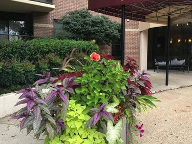 8350 GREENSBORO DRIVE, Unit 803, MCLEAN, VA 22102