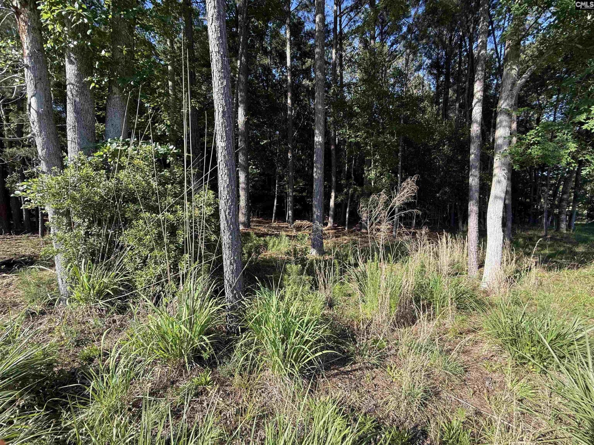 60 Circle H Woods Road  Photo 47