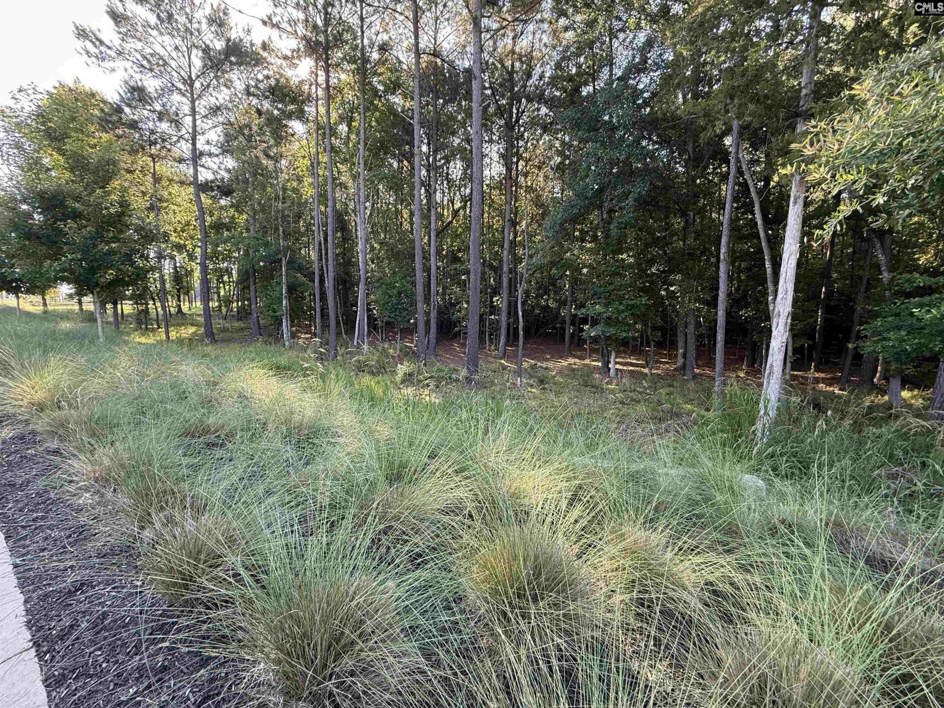 60 Circle H Woods Road  Photo 49