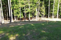 60 Circle H Woods Road  photo 4