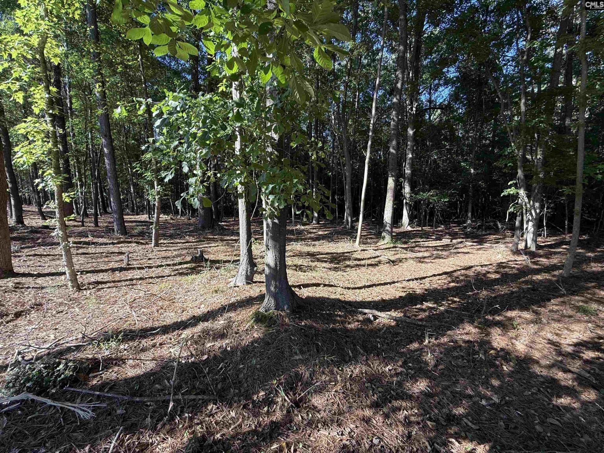 60 Circle H Woods Road  Photo 53