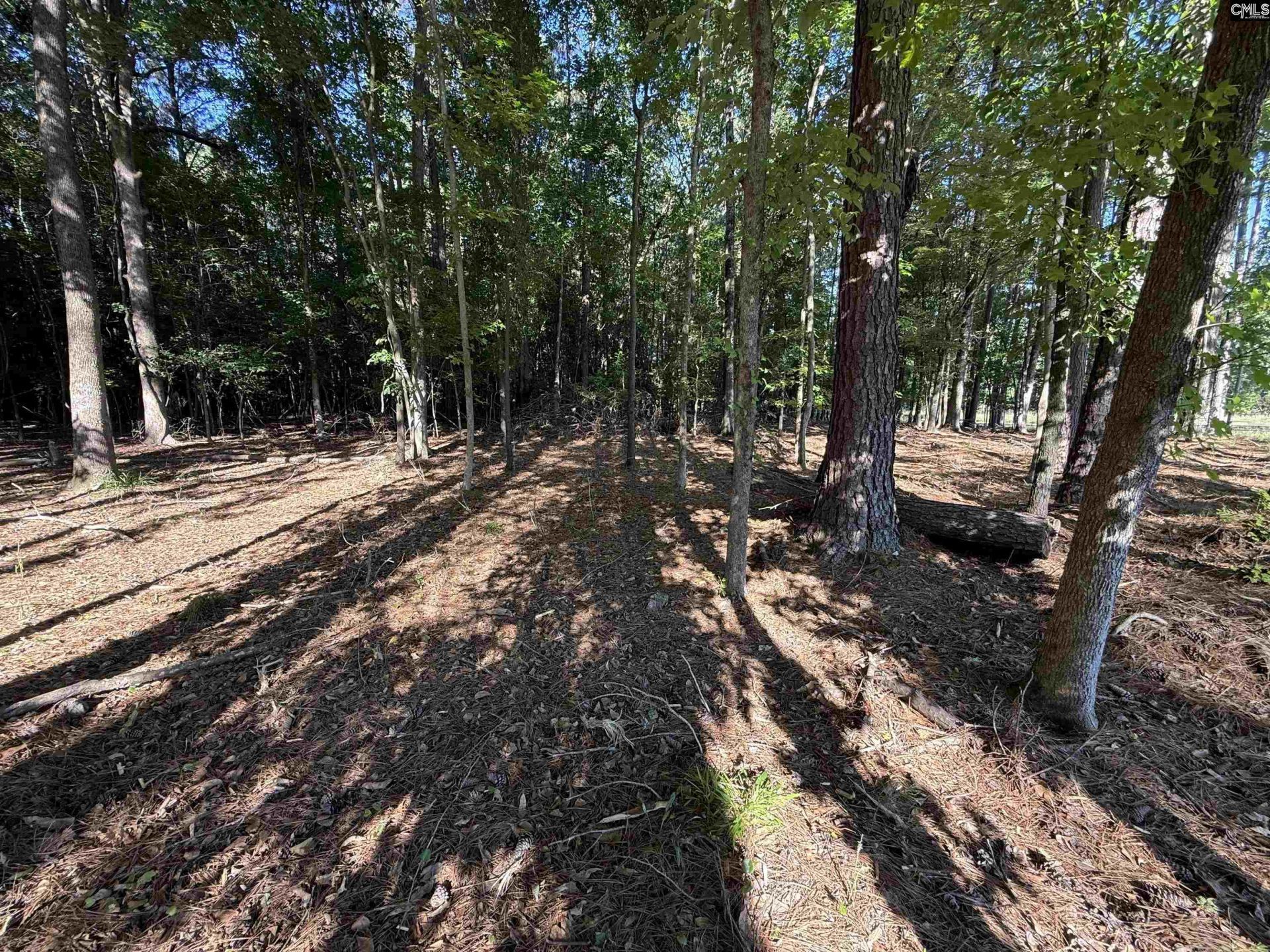 60 Circle H Woods Road  Photo 54