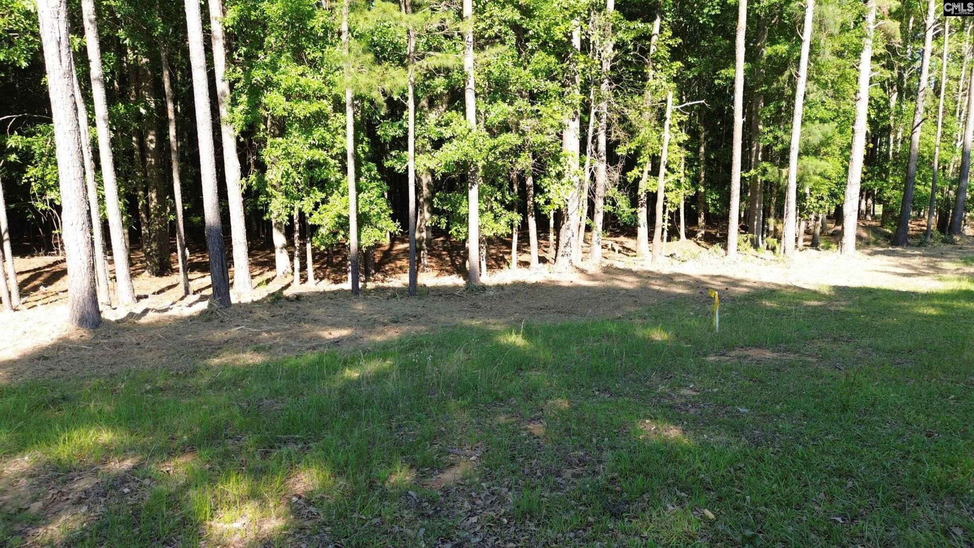 60 Circle H Woods Road  Photo 57