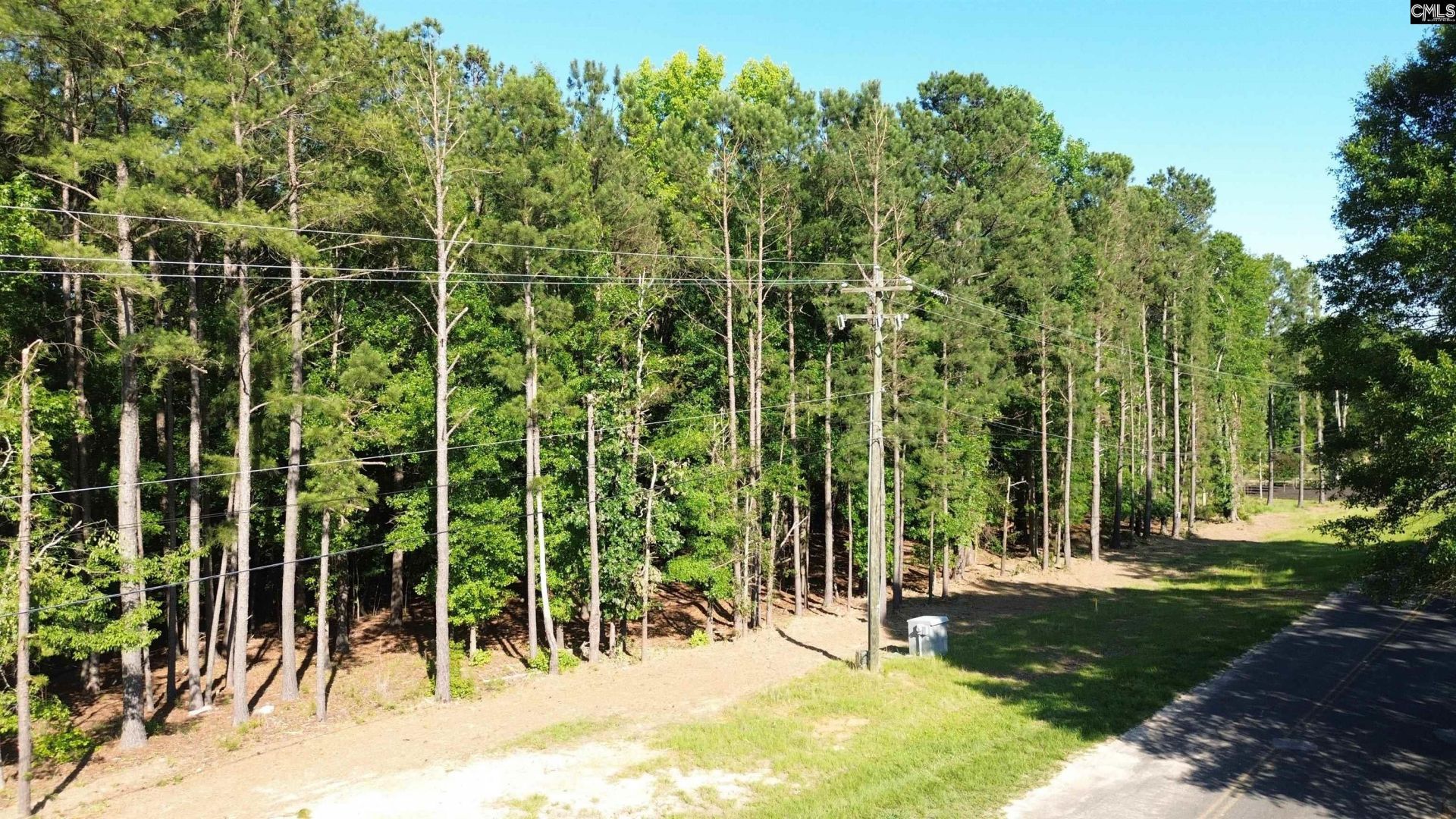 60 Circle H Woods Road  Photo 7