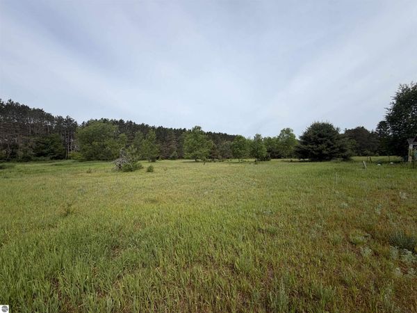 Pearl Street, Thompsonville, MI 49683