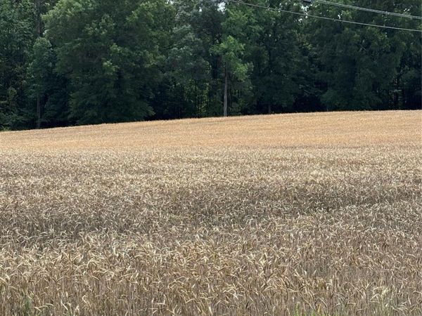 0 Olive Branch Road , Wingate, NC 28174