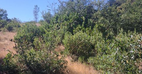 8679 Hilory Ln, Dobbins, CA 95935 Photo