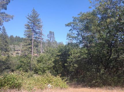 8679 Hilory Ln, Dobbins, CA 95935 Photo
