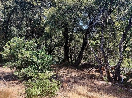 8679 Hilory Ln, Dobbins, CA 95935 Photo