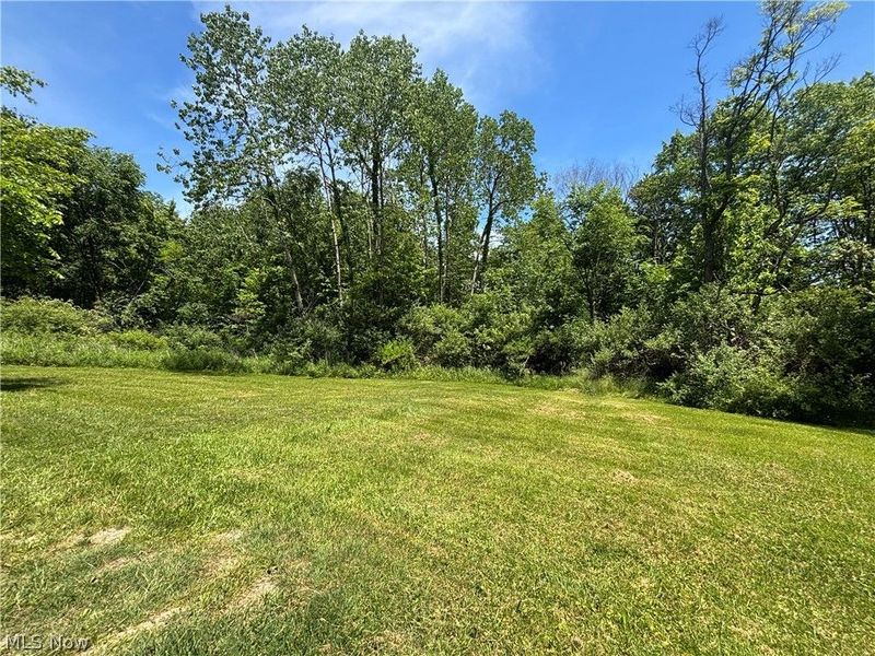 6601 Mapleton Street SE, East Canton, OH 44730 Photo 22