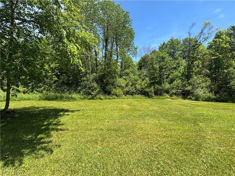 6601 Mapleton Street SE, East Canton, OH 44730 Photo 30