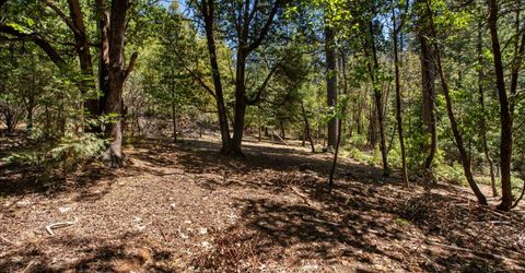 3196 Pine Cone Ct, Placerville, CA 95667 Photo
