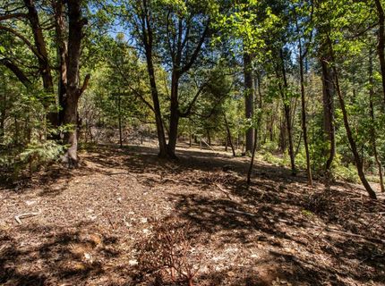 3196 Pine Cone Ct, Placerville, CA 95667 Photo