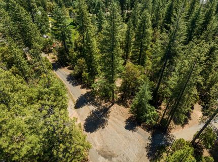 3196 Pine Cone Ct, Placerville, CA 95667 Photo