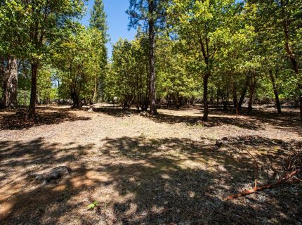 3196 Pine Cone Ct, Placerville, CA 95667 Photo
